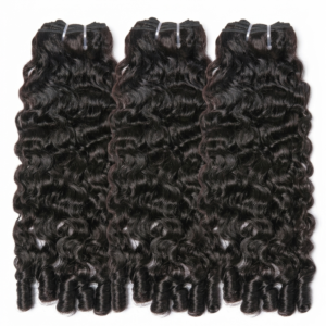 Burmese Curly